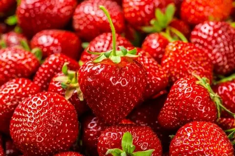 تصویر 2 از قیمت میوه توت فرنگی خشک + خرید باور نکردنی